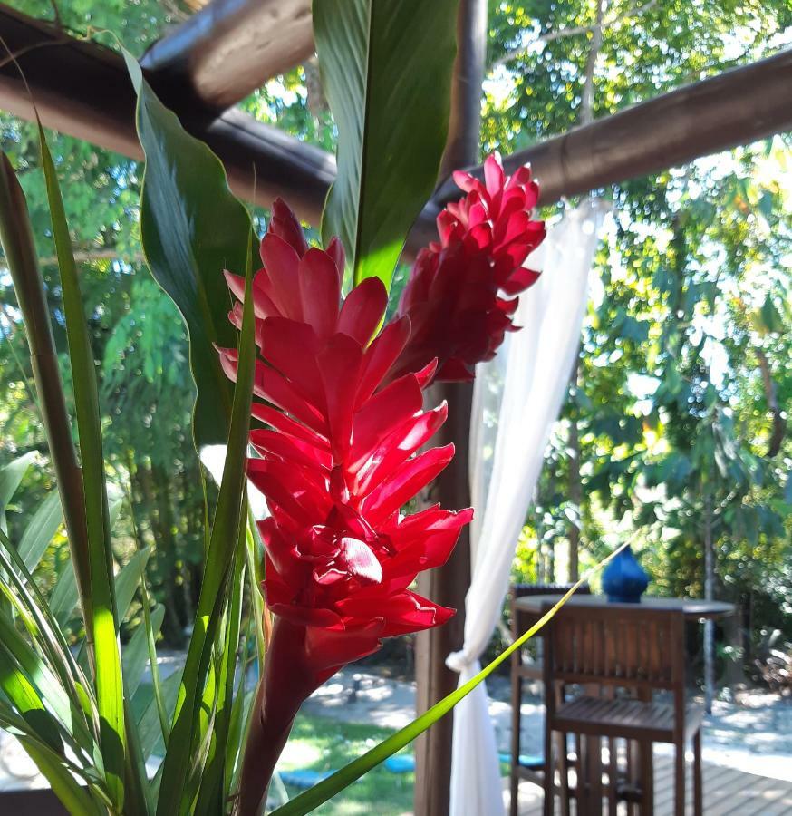 Mata N'Ativa Pousada Trancoso Exteriör bild