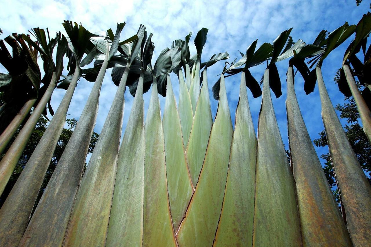 Mata N'Ativa Pousada Trancoso Exteriör bild